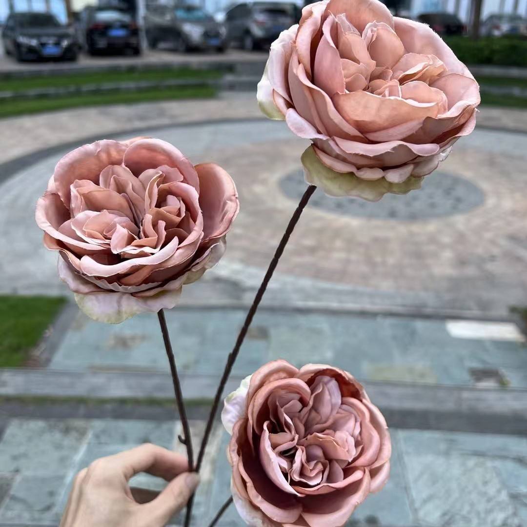 3 tête austin curry