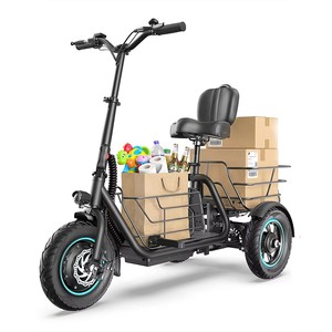 จักรยานไฟฟ้า Gyroor ขายส่งแบบ OEM รุ่น Electric 48V E-Bike สำหรับสัตว์เลี้ยง สุนัข แมว C-Best Gyroor Iron Ebike - Product Image 1