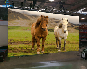 Lập trình <span class=keywords><strong>LED</strong></span> quảng cáo đăng ký cho thuê Màn hình <span class=keywords><strong>LED</strong></span> Bảng điều chỉnh p3.91 <span class=keywords><strong>P4</strong></span> <span class=keywords><strong>p4</strong></span>.81 <span class=keywords><strong>LED</strong></span> Scrolling di chuyển tin nhắn biển quảng cáo tùy chỉnh SDK - Product Image 3