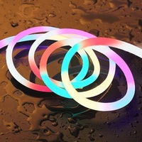 Bande lumineuse LED néon flexible 12v 24v 360 degrés, personnalisable, étanche, décorations extérieures, bande LED RGBIC, tube flexible, lumière néon LED