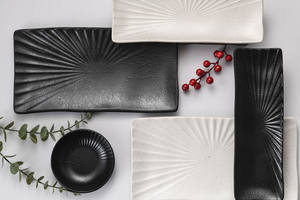 プラスチックプレート日本寿司プレートと西洋デザート長方形メラミンプレート無料サンプルフロスト技術 - Product Image 4