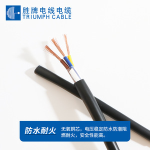 Triumph Cable YZW Rubber Sheathed Cable 2 3 4 5 Core Oxygen Free Copper 0.75 1.0 1.5 2.5mm For Electrical Equipment - Product Image 3