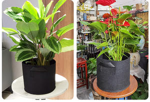 Thân Thiện Với Môi Cổ Điển Nhà Máy Phát Triển Cảm Thấy Phát Triển Túi Màu Đen Không Dệt Vải Dày 1.5-2Mm 1-100L Công Suất Vườn Sử Dụng Túi Cây - Product Image 5