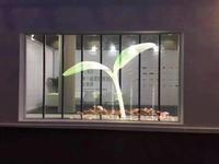 Rideau de fenêtre en verre led p1.73, panneau d'affichage transparent, pour mur vidéo de publicité d'intérieur, panneau d'affichage led