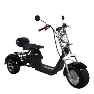 저렴한 성인 강력한 전기 3 큰 바퀴 팻 타이어 오프로드 유인 스쿠터 오토바이 Citycoco 전자 오토바이