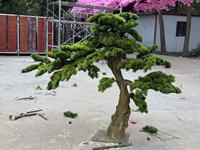 Maßgefertigter Großer Künstlicher Kiefernbaum Künstlicher Bonsai Künstlicher Kiefernbaum für Innen- und Außendekoration