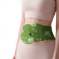 Parches Herbales Ranran Dazzling para Reducir el Abdomen, con Artemisia y Calor, Marca Aishang, en Caja (5 Parches)