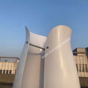 Productos de Tendencia 2022: Generador Eólico de Eje Vertical de 1kw, Turbina de 48v - Product Image 5