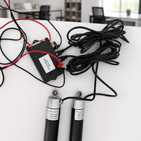 Actionneur linéaire électrique à forte charge avec contrôle synchrone par capteur Hall 12V, 24V pour plateforme élévatrice avec commande par interrupteur