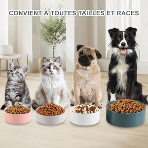 Customizable <b>Ceramic</b> Pet Bowl & Storage Jar Set Eco-Friendly Pet Food Container Home Decor for <b>Dog</b> Cat Bowl Treats Jar - Product Image 4