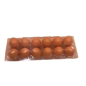 Disposable PET Plastic Egg Cartons Recyclable Clamshell Trays for Packaging Food and Supermarket Use Blister Process for Sale