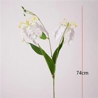 Guirlande de 3 petites fleurs imprimées en 3D en latex (lys flamboyants et narcisses) pour la décoration nordique et la photographie de la Saint-Valentin