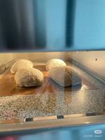 Horno de panadería al por mayor de calidad japonesa, horno eléctrico pequeño con cubierta de vapor de una cubierta, horno para hornear