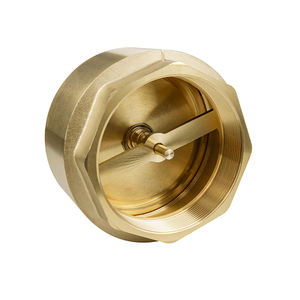 TMOK RTS DN100 4 "pouces BSP <span class=keywords><strong>anti</strong></span>-<span class=keywords><strong>retour</strong></span> en laiton clapet <span class=keywords><strong>anti</strong></span>-<span class=keywords><strong>retour</strong></span> à sens unique clapet <span class=keywords><strong>anti</strong></span>-<span class=keywords><strong>retour</strong></span> à ressort en ligne - Product Image 2