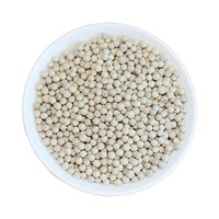 High Quality White Pepper Seasonings & Condiments Wholesale From Hainan China Dried Raw Processing Big Size