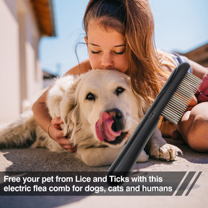 Strumento per animali domestici spazzola elettrica per cani strumento per toelettatura denti pettine per pidocchi pettine per cani e gatti - Product Image 5
