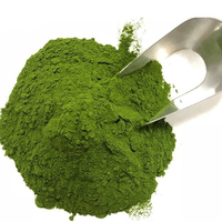 Poudre de Matcha Premium en Gros Certifiée Biologique Halal pour l'Industrie Alimentaire et des Boissons Prix Direct Usine Matcha MOQ 5kg