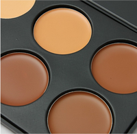 Palette de correcteur de teint en gros, marque privée, 10 couleurs, palette de contouring, correcteur de teint pour le visage, sans cruauté
