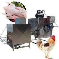 Machines d'abattage et d'épluchage à vapeur pour l'élevage de cailles / Machine à éplucher les plumes de poulet, d'oie, de canard, de dinde / Prix de la machine à éplucher les volailles