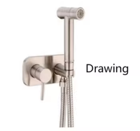 Ensemble de pulvérisateur de bidet de salle de bains en acier inoxydable pour le nettoyage des hôtels en laiton de style moderne