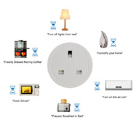 Enchufe Inteligente Zigbee FY41 UK 13A |   Monitor de Energía y Medidor de Potencia en Tiempo Real |   Funciona con Tuya Smart Hub |   OEM ODM Directo de Fábrica