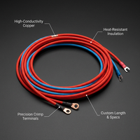 Rangkaian Kabel Baterai Penyimpanan Energi Khusus dengan Terminal Ring Lug ke Fork untuk Sistem EV, Solar, dan UPS