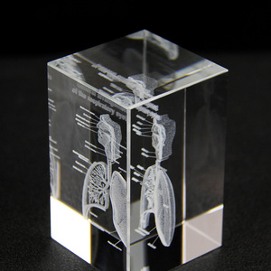 Bác sĩ của lưu niệm cơ quan con người hệ thống hô hấp mô hình hiển thị tinh thể 3D laser khắc Glass cube bán buôn - Product Image 6