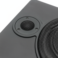 Subwoofer Delgado de 12V, Altavoz Activo SPL de 600W, Subwoofer para Debajo del Asiento de Automóvil con Tweeter