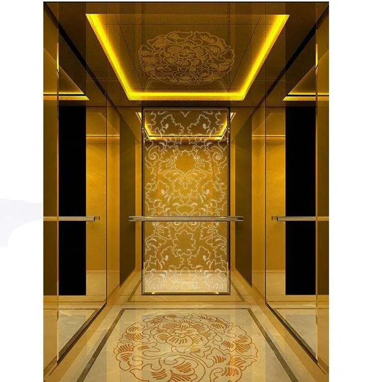 CE sertifikaları ile düşük fiyat marka ev asansör insan asansörü