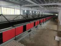 Système de collecte automatique des nichoirs de poulet nichoirs d'œufs à rouler 24 trous nichoir de pondeuse de poulets