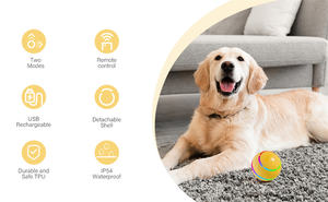 Balle électronique intelligente pour animaux de compagnie, télécommandée, lumineuse, rechargeable par USB, accessoires pour chiens et chats, jouet pour chien, balle LED - Product Image 5