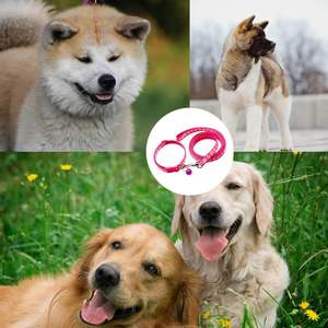 Manufacturer Wholesale Multi-colors Nylon Adjustable <b>Dog</b> Collar and <b>Leash</b> Set - Product Image 6