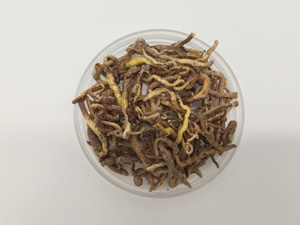 पालतू भोजन के लिए सूखे मिट्टी के कीड़े को फ्रीज करें - Product Image 2