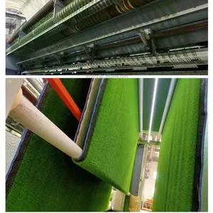 Sunberg Gras 2022 Hoge Kwaliteit Anti-Slip Gym Vloerbedekking Tapijt Voor Gym Mat 2 Kleuren Of Custom Krullend Garen