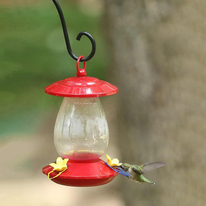 Vogels Feeder Glas Materiaal Beste Kwaliteit Kolibries Feeder Thuis Gebruik - Product Image 1