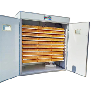 5280개 계란 부화기 판매, 가금류 재판매 사업 - Product Image 4