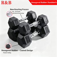 Haltères hexagonaux en caoutchouc noir R&B Wholesale 20kg 30kg 40kg 45LB 100LB, accessoires de gym en fer, paires d'haltères pour usage domestique