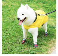 Chaussures pour chien Muker, écologiques, de luxe, à motif de dessin animé, très vendues, respirantes, en maille, antidérapantes, réfléchissantes, pour toutes les saisons