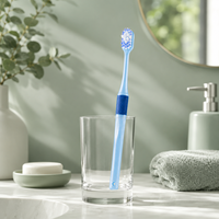 Brosse à dents manuelle pour adultes, marque privée OEM, logo personnalisé, vente en gros et au détail