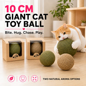 Pelota de juguete premium con mezcla de hierba gatera jumbo como accesorio de juego para gatos activos y encías saludables - Product Image 1