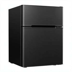 Mini Nevera Eléctrica Portátil de 8 Latas y 6 Litros, Enfriador y Calentador Termoeléctrico para Automóvil, Acero Inoxidable, Sin Escarcha - Product Image 4