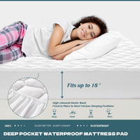 Protège-matelas imperméable Queen, housse de matelas silencieuse et respirante, poche profonde jusqu'à 18 pouces, protège-matelas matelassé