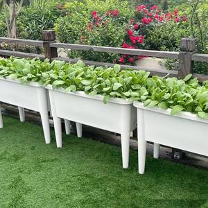Fourniture directe d'usine grandes boîtes de plantation de balcon en plastique rectangulaires <span class=keywords><strong>à</strong></span> profil bas culture de légumes plateaux de pépinière couvercles - Product Image 1