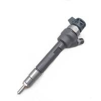 Injecteur de carburant Common Rail 0445110479, ensemble d'injecteurs 0445110479 0445110480, autres pièces de camion 0445110479