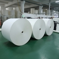 Rouleau de papier en feuille éventail pour gobelets, revêtement PE simple et double, qualité cinq étoiles et Enso, vente directe usine