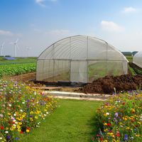 Serre agricole à structure métallique à travée unique pour légumes, serre de 20 pieds