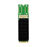 Carte graphique serveur GPU intégrée de qualité industrielle M.2 B+M ST420 2K DVI certifiée ROHS PCI en stock
