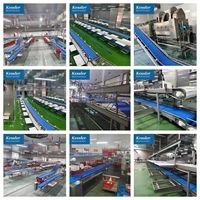 Ligne de production de trancheuses à viande industrielles Kessler, convoyeur à bande en acier de qualité alimentaire automatique pour l'usine de transformation de la viande, prix d'usine