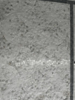 Mini tuile de mosaïque aiguisée motif d'éventail de pétoncles en pierre d'élite en marbre blanc chinois