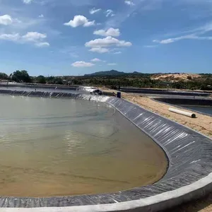 GM13 polietilene ad alta densità HDPE LDPE LLDPE Geomembrane foglio HDPE gamberetti fish liner dam liner fish farm pond liners